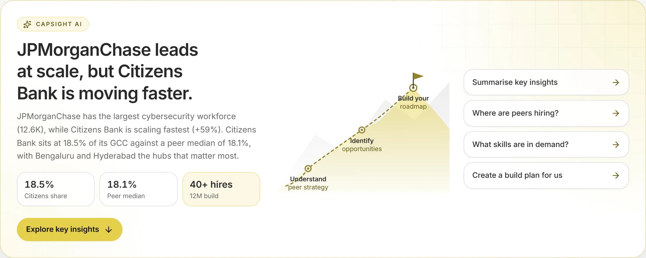 Capability: The brief